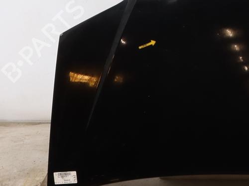 Used Hood Hood FIAT IDEA (350_) 1.3 D Multijet (90 hp) 40613710 40613710