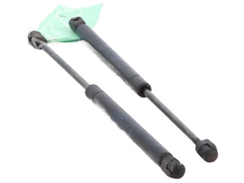 tailgate-lift-support-renault-clio-ii-bb_-cb_-1998-1999-2000-2001-2002-2003-2004-2005-2006-2007-2008-2009-2010-2011-2012-2013-2014-2015-2016-31655396 main image