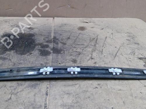 Door moulding trim MERCEDES-BENZ E-CLASS (W211) E 220 CDI (211.006) | BP31823812C150