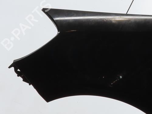 Left front fenders RENAULT CLIO III (BR0/1, CR0/1) 1.5 dCi (BR17, CR17) | BP28110325C41 