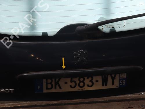 Tailgate PEUGEOT 206+ (2L_, 2M_) 1.1 | BP22410321C6 