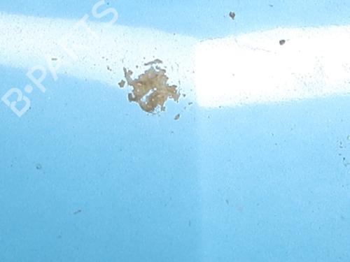 Used Hood Hood 36875010 36875010