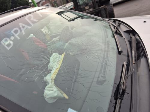 Front right panel KIA SORENTO I (JC) 2.5 CRDi | BP36184756C59 - Image 32