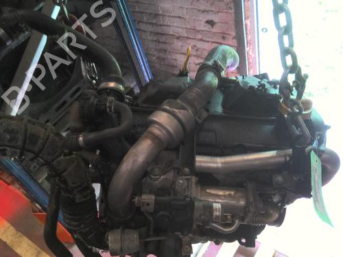 Engine NISSAN MICRA III (K12) 1.5 dCi | BP29082619M1