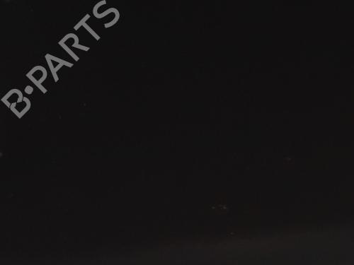 Drzwi tylne lewe FIAT PUNTO (199_) 1.3 D Multijet | BP30915209C4