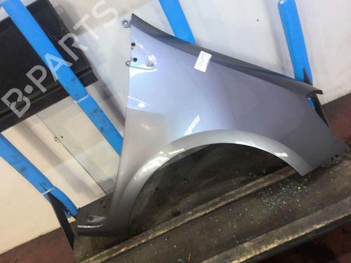 Right front fenders RENAULT CLIO III (BR0/1, CR0/1) 1.5 dCi (C/BR0G, C/BR1G) | BP20359738C42 