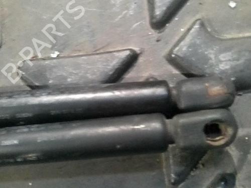 Tailgate lift support PEUGEOT 406 Break (8E/F) 1.9 TD | BP20727467C138 