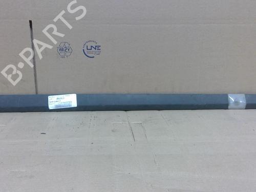 Used Door moulding trim RENAULT CLIO III (BR0/1, CR0/1) 1.2 16V (BR02, BR0J, BR11, CR02, CR0J, CR11) (75 hp) 28131930