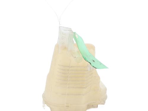 Expansion tank RENAULT LAGUNA III (BT0/1) 1.5 dCi (BT00, BT0A, BT0T, BT1J) | BP30380424C120