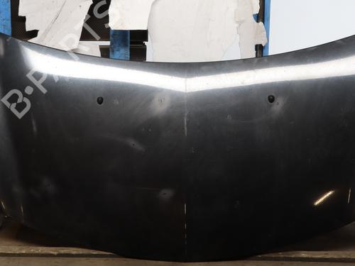 Used Hood RENAULT CLIO III (BR0/1, CR0/1) 1.2 16V (BR02, BR0J, BR11, CR02, CR0J, CR11) (75 hp) 27266598