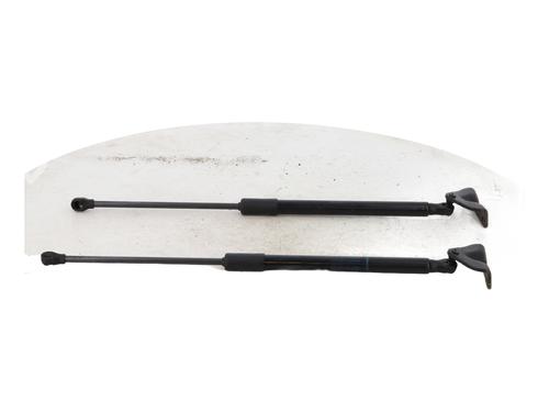 Tailgate lift support RENAULT SCENIC E-TECH PHASE I EV87 | BP22005555C138 