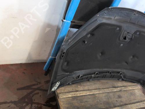 Motorhjelm FORD C-MAX (DM2) 1.6 TDCi | BP20367832C1 