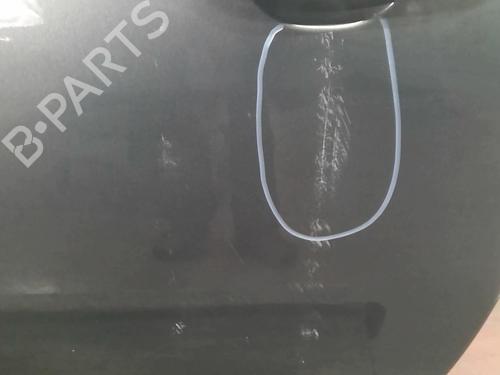 Left front door NISSAN MICRA III (K12) 1.2 16V | BP20360005C2 