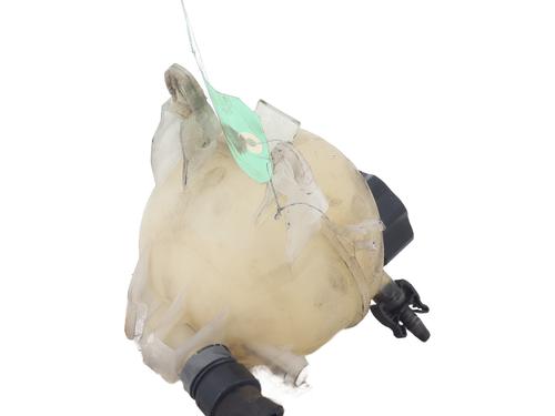 Used Expansion tank PEUGEOT 207 CC (WD_) 1.6 HDi (109 hp) 23846698