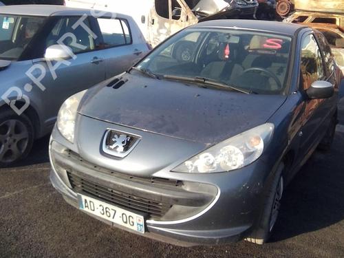 Left front door PEUGEOT 206+ (2L_, 2M_) 1.4 i (2LKFWA, 2MKFWA) | BP21116989C2 