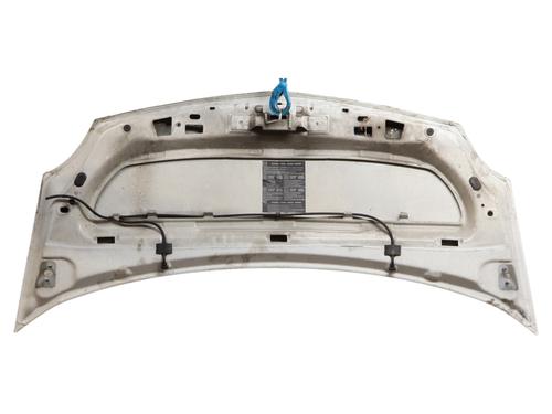 hood-renault-kangoo-express-fw01_-2008-36955887 main image