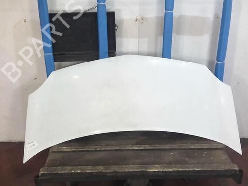 Hood RENAULT KANGOO Express (FW0/1_) 1.5 dCi 85 (FW0K, FW0L, FW0B) | BP20355495C1 