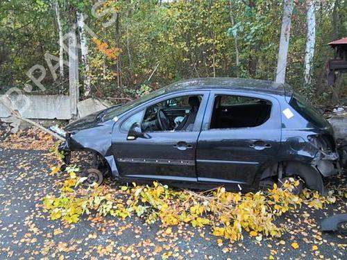 Door moulding trim PEUGEOT 207 (WA_, WC_) 1.4 HDi | BP29758673C150