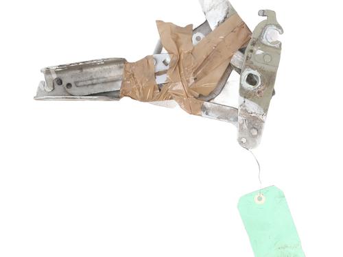 hingedoor-check-strap-ford-fiesta-vi-cb1-ccn-2008-30715615 main image