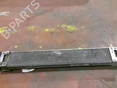 Used Intercooler Intercooler RENAULT SCÉNIC III (JZ0/1_) 2.0 16V (JZ0G, JZ0P, JZ1E, JZ1P) (140 hp) 21572273 21572273