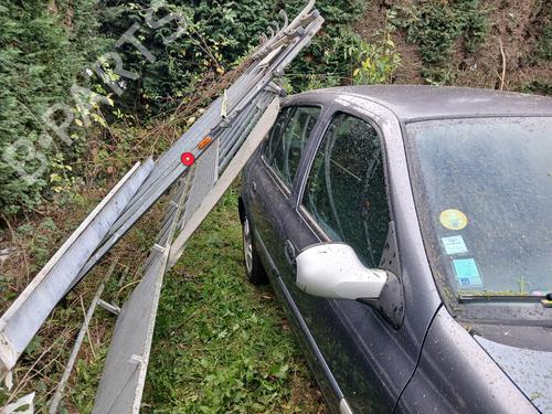 Modanatura della portiera RENAULT CLIO II (BB_, CB_) 1.5 dCi (B/C2J) | BP30878017C150