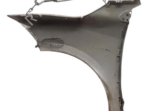 Right front fenders RENAULT MEGANE III Hatchback (BZ0/1_, B3_) 1.5 dCi (BZ0C) | BP29493118C42 