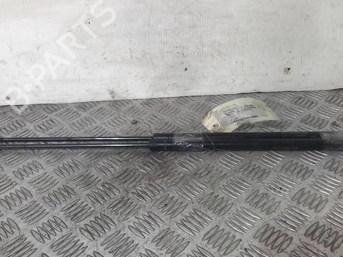 Tailgate lift support MERCEDES-BENZ M-CLASS (W163) ML 270 CDI (163.113) | BP20352529C138 