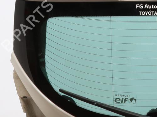 Tailgate RENAULT MEGANE III Hatchback (BZ0/1_, B3_) 1.5 dCi (BZ0C) | BP29407649C6 