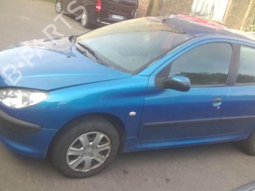 Tailgate PEUGEOT 206 Hatchback (2A/C) 1.4 HDi eco 70 | BP20351208C6 