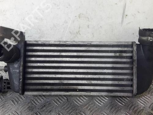 Intercooler FIAT 500 (312_) 1.3 D Multijet (312AXB1A) | BP20357207M30 
