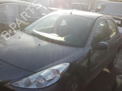 Right front door PEUGEOT 206+ (2L_, 2M_) 1.1 | BP22002772C3