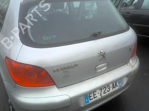 Door moulding trim PEUGEOT 307 (3A/C) 1.6 HDi 110 | BP24147268C150 