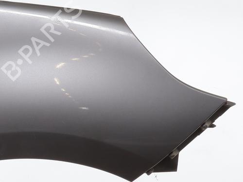 Right front fenders RENAULT SCÉNIC III (JZ0/1_) 1.5 dCi | BP25275812C42 