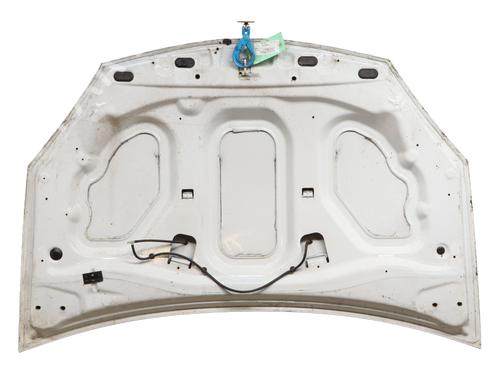 hood-dacia-sandero-2008-31983789 main image