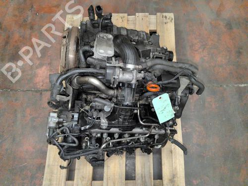 Engine VW GOLF VI (5K1) 1.6 TDI | BP38773991M1 - Image 3