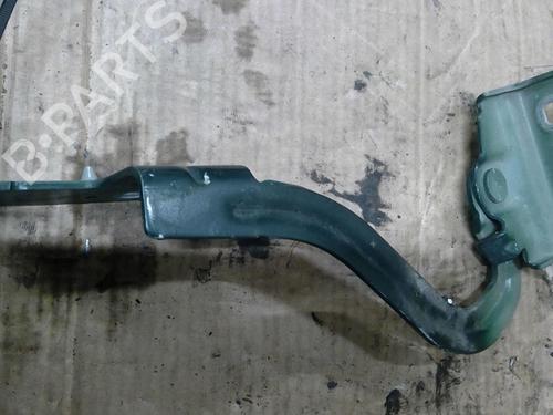 hingedoor-check-strap-renault-modus-grand-modus-fjp0_-2004-30823606 main image