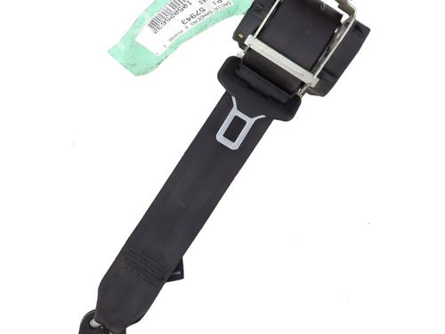 rear-right-seatbelt-dacia-sandero-ii-2012-25343731 main image