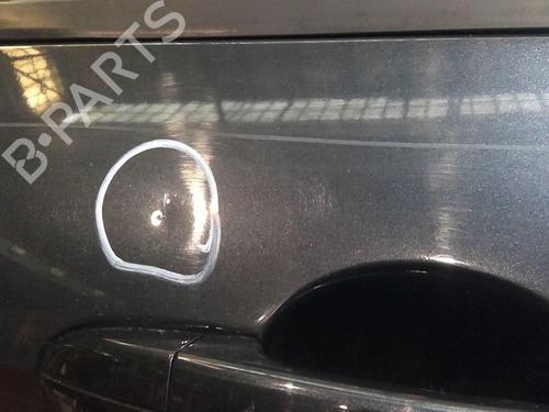 Right front door FORD S-MAX (WA6) 1.8 TDCi | BP20363980C3 