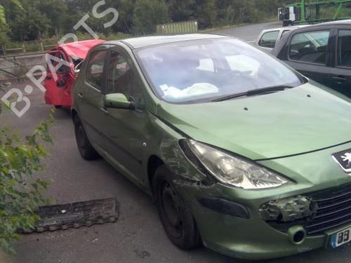 Right front door PEUGEOT 307 (3A/C) 1.6 HDi 110 | BP21999836C3 