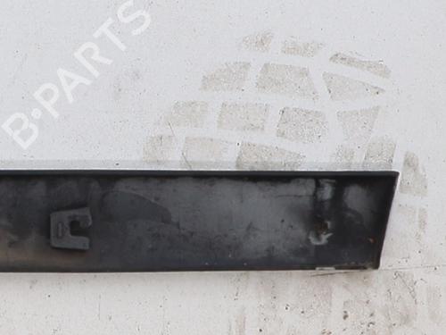 Door moulding trim PEUGEOT 206 Hatchback (2A/C) 2.0 HDI 90 | BP20356446C150 