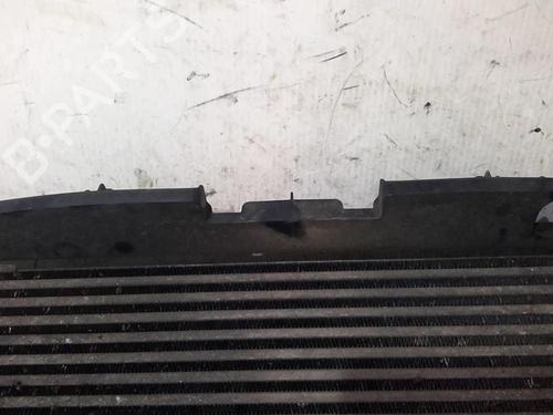 Used Intercooler Intercooler RENAULT TRAFIC II Van (FL) 2.0 dCi 115 (FL01, FL0U, FL00, FL0H, FL0M) (114 hp) 20363550 20363550