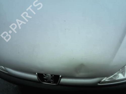Grille PEUGEOT 206 Hatchback (2A/C) 1.4 16V | BP22894455C40 