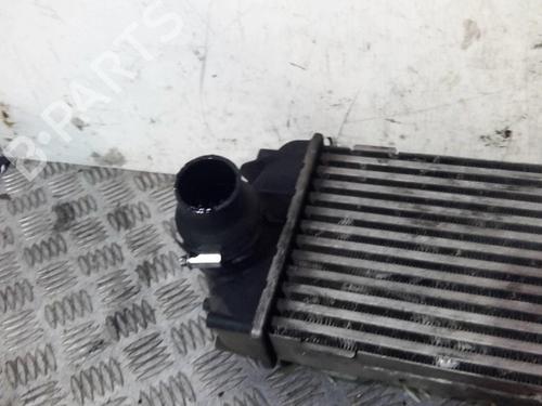 Used Intercooler RENAULT TRAFIC II Van (FL) 2.0 dCi 115 (FL01, FL0U) (114 hp) 20363550