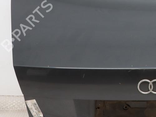Used Tailgate Tailgate AUDI A4 B6 (8E2) 2.5 TDI (155 hp) 29407606 29407606