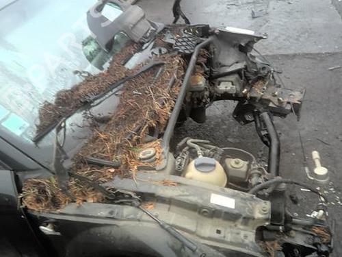 Right mirror AUDI TT (8N3) 1.8 T | BP23789384C27