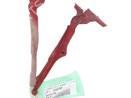 hingedoor-check-strap-citroen-c3-ii-sc_-2009-30261857 main image