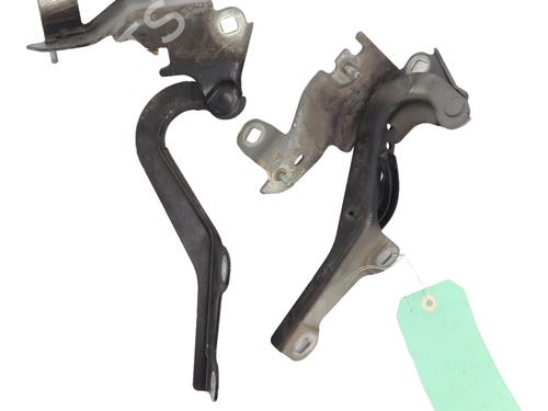Used Hinge/Door check strap RENAULT LAGUNA III (BT0/1) 2.0 dCi (BT01, BT08, BT09, BT0E, BT0K, BT12, BT1C, BT1D,... (150 hp) 28175033