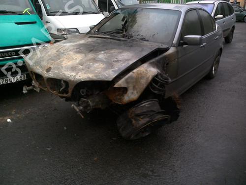 - Image 4