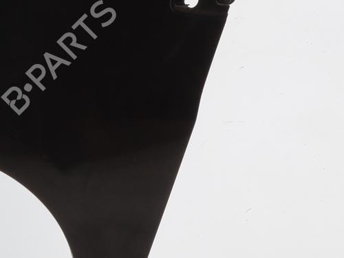 Left front fenders RENAULT CLIO III (BR0/1, CR0/1) 1.5 dCi (C/BR0G, C/BR1G) | BP29560316C41 