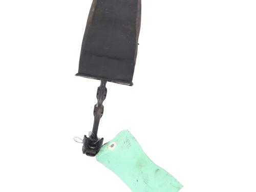 Hinge/Door check strap VW JETTA IV (162, 163, AV3, AV2) 1.4 TSI Hybrid | BP31115220C146